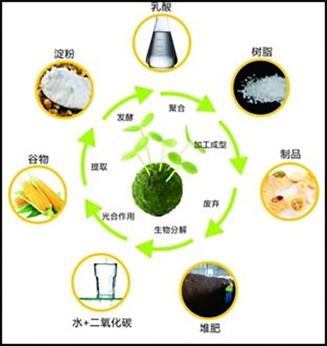 182-生物基塑料與生物降解塑料